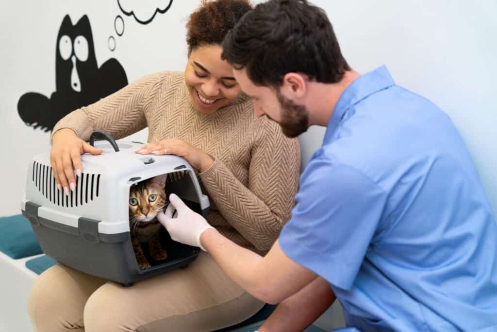 A cat visiting the vet with its owner before the relocation